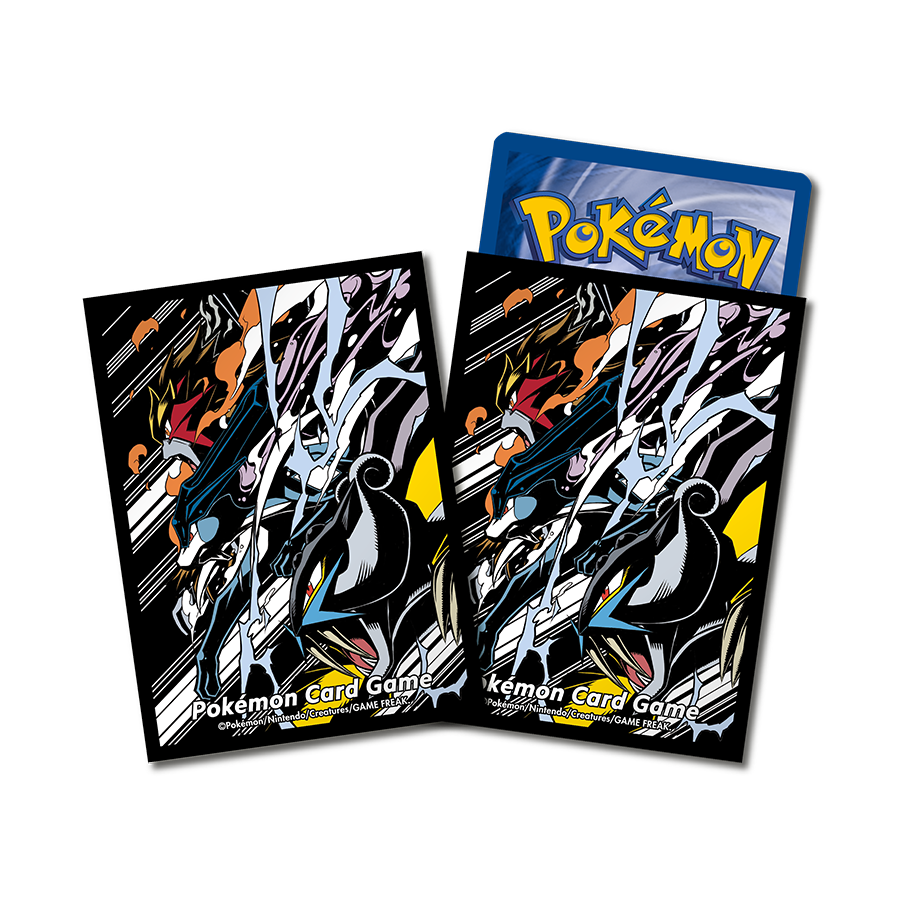 Suicune Entei Raikou Vstar SAR Full art S12a VSTAR Universe PTCG sleeves