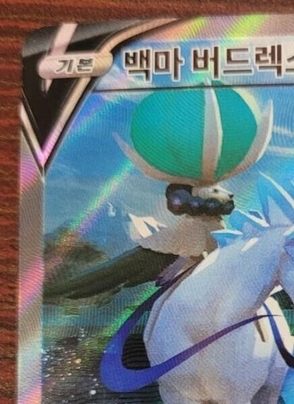 Ice Rider Calyrex V SR SA 073/070 s6H HOLO NM Pokemon Card game