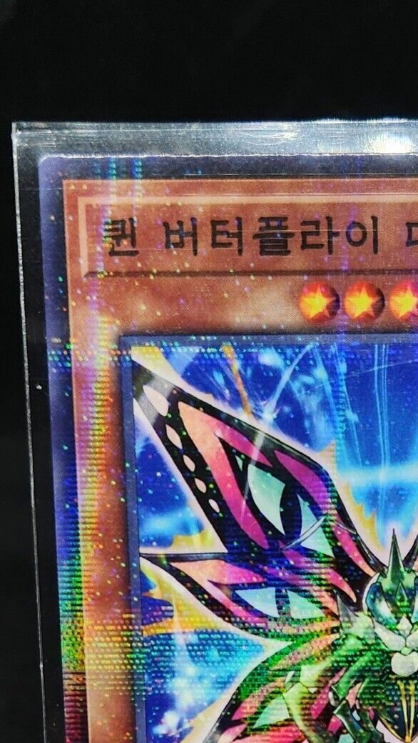 Queen Butterfly Danaus 23PP-KRB19 Yugioh Card Korea Parallel Rare EX