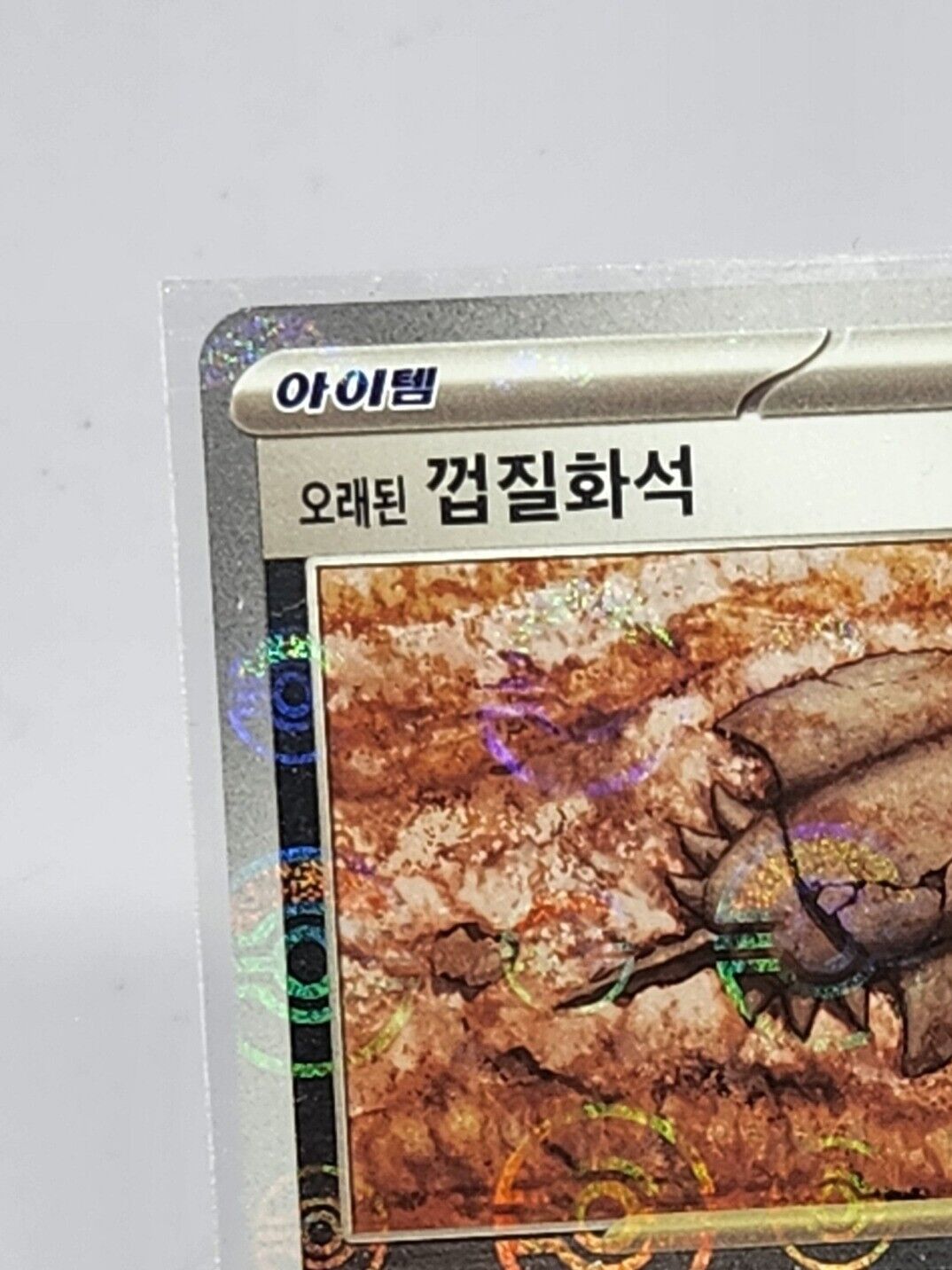 Old Dome Fossil Pokeball Reverse 155/165 SV2a Pokemon 151 Korean Card