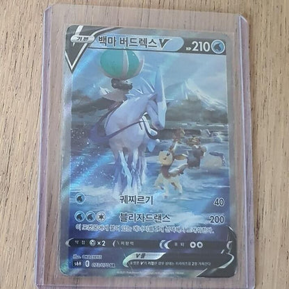 Ice Rider Calyrex V SR SA 073/070 s6H HOLO NM Pokemon Card game