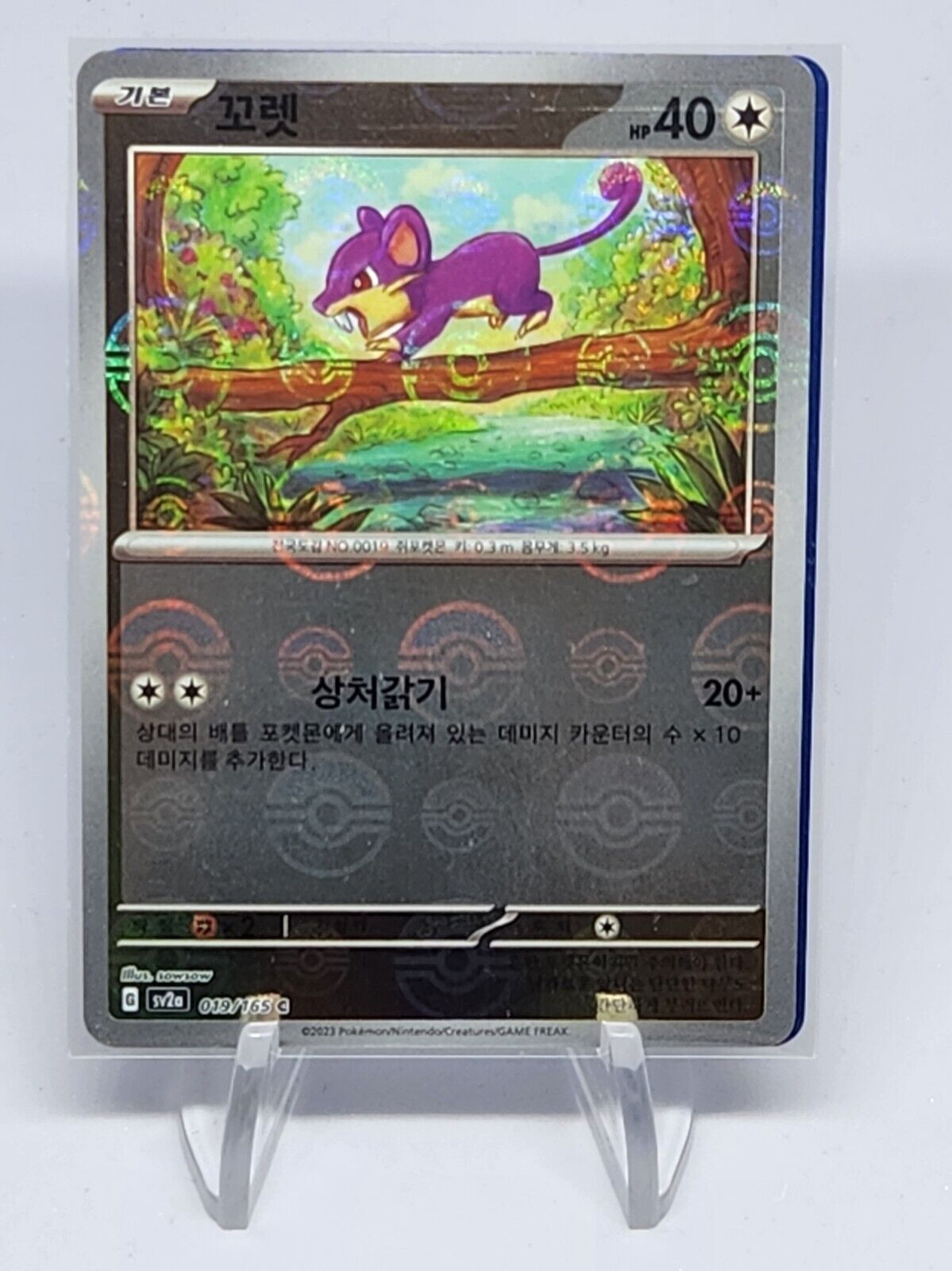 Rattata 019/165 Pokeball Reverse Holo Korean Pokemon card 151