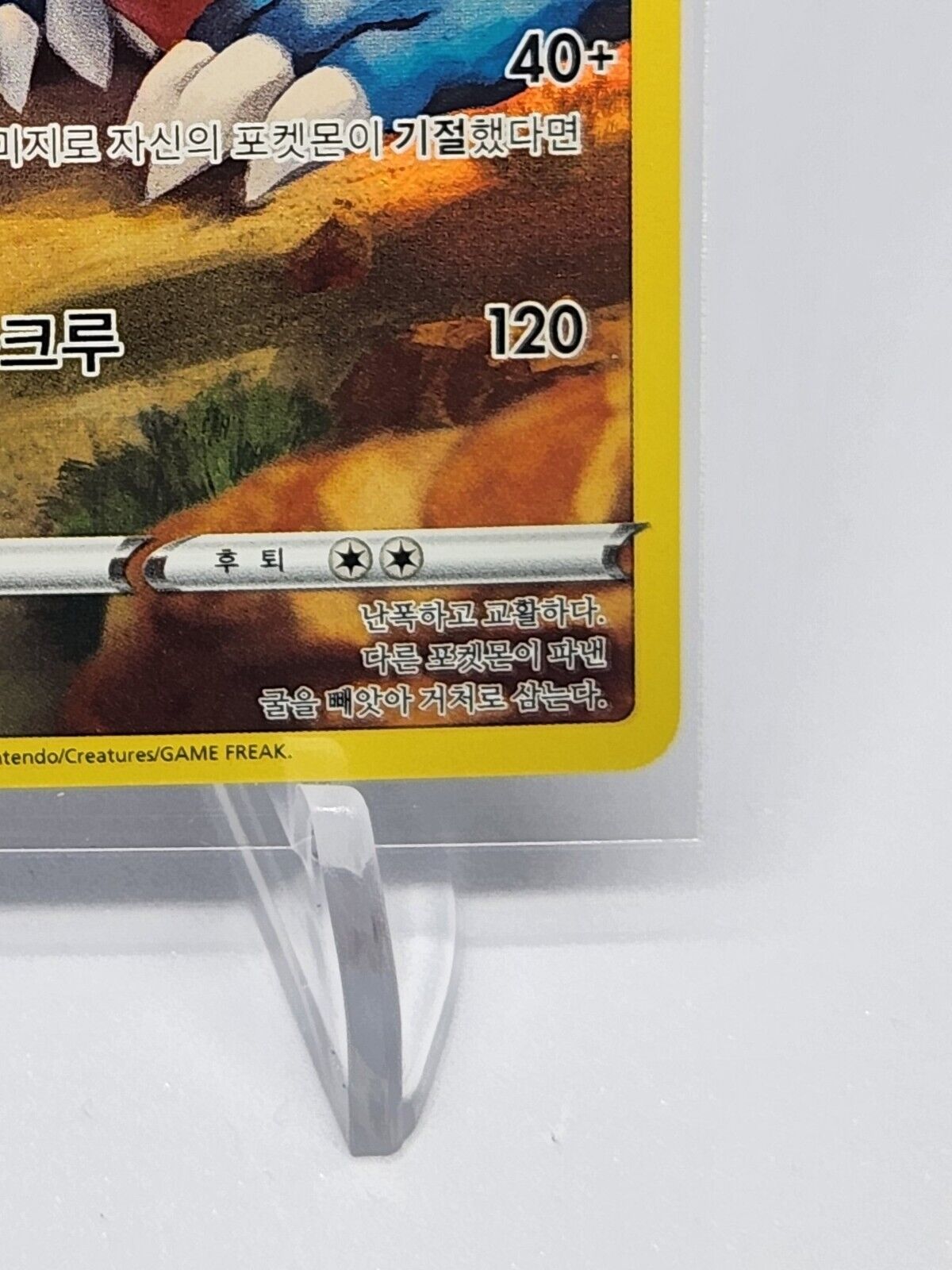 Druddigon CHR Full art Pokemon card VMAX Climax S8b