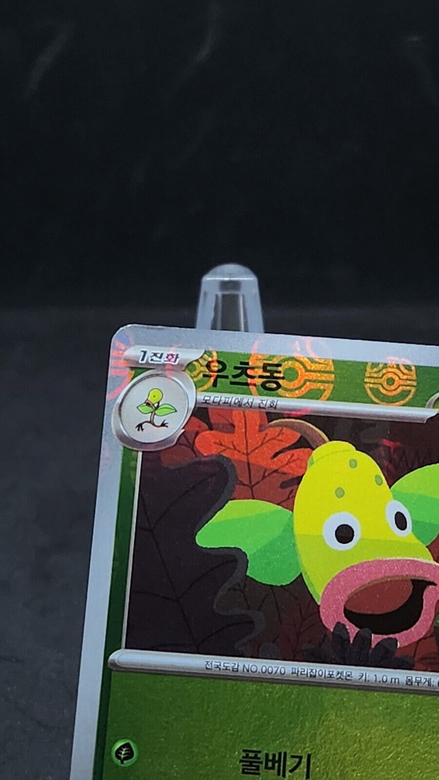 Weepinbell 070/165 Mirro Master ball Pokemon Card 151 Holo Korean MP